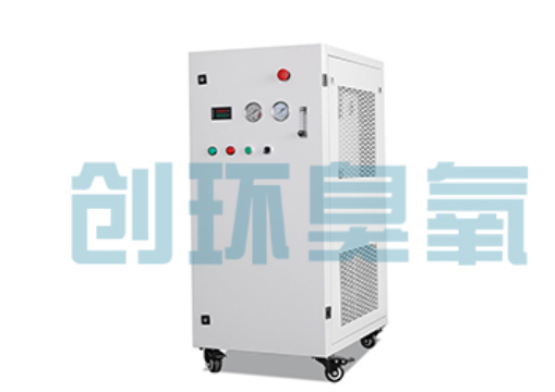 南平石斑鱼养殖水质调控完整指南:臭氧发生器配置与操作步骤