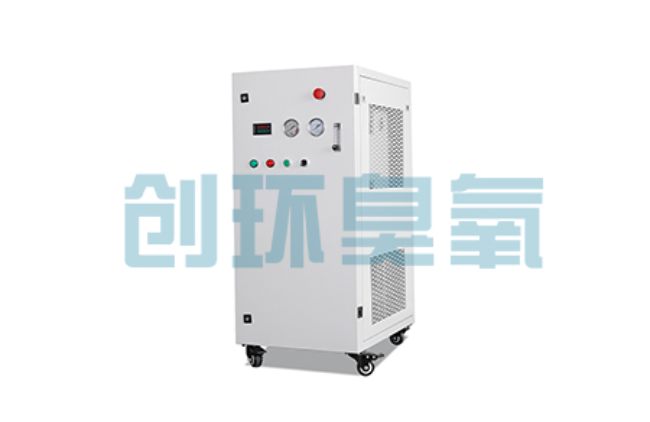 南平比传统换水更高效?臭氧发生器在石斑鱼养殖中的水质净化原理解析